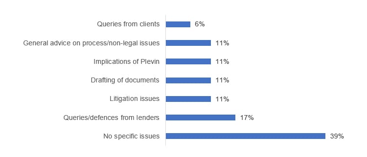 Queries from clients 6%, General advice on process/non-legal issues 11%, Implications of Plevin11%, Drafting of documents 11%, Litigation issues 11%, Queries/defences from lenders 17%, No specific issues 39%